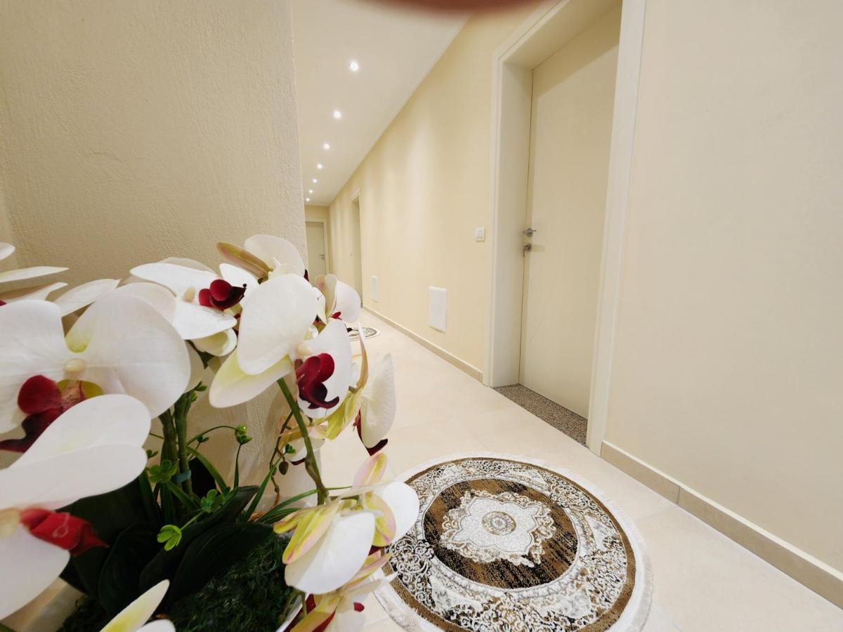 Llogora Dervishaliu Hotel Llogara National Park エクステリア 写真